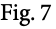 Fig. 7